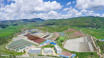 蝦青素提高您的生活質量,健康美麗多一點