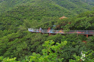 遼寧這個(gè)景區(qū)有條 中華孝道 ,讓老人游覽更方便,受到網(wǎng)友點(diǎn)贊