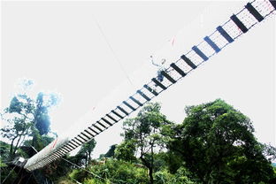 國慶黃金周到佛山南丹山聽鳥語 覓鼠蹤,度一個(gè)動(dòng)物園假期