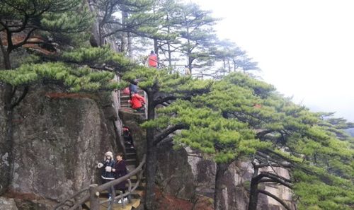 清明小長假第三天 黃山風(fēng)景區(qū)優(yōu)化管理措施 游覽秩序井然