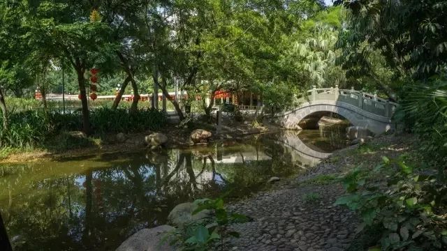 賺翻了!深圳53個免費景點,不花一分錢玩轉五一!