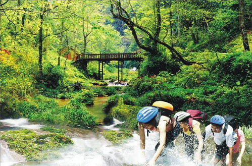 國(guó)內(nèi)游 十月,桂林漓江山水 千姿百態(tài)的潑墨水彩畫(huà)