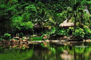 在溫暖保亭遇見(jiàn)那香山，探索大三亞旅游經(jīng)濟(jì)圈的景區(qū)管理之道