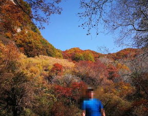 2019平山駝梁風(fēng)景區(qū)游玩全攻略 門(mén)票價(jià)格、游覽路線(xiàn)、地址與服務(wù)詳解